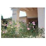 Home Of 100 Year Olds Collection