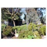 Delta Nautical Delight Estate Sale