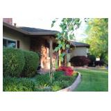 Land Park Estate Sale