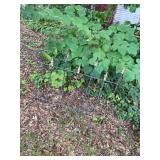 victorian wrought iron garden fence fleu de lis finials