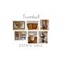 Trumbull Estate Sale