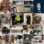 Venice Fl Estate Sale Extravaganza Tools, Treasures and Timeless Finds