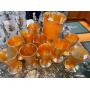  A FLEETVILLE FAIR DAY SALE