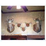 Designer Country Home (Plus Lots of Hunting, FIshing, Tools, Mounts, etc)