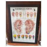 Framed Medical/Acupuncture Prints