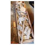 Fossils, Flint, Arrowheads, Petrified Wood, and Shells Galore! 