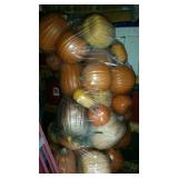 a PUMPKIN Patch !!! :)