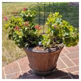 Several large outdoor pots & plants