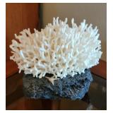 Coral