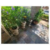 Meadows place estate sale blowout extravaganza!