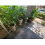Meadows place estate sale blowout extravaganza!