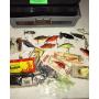 Tackle Box and Lures