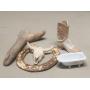 TUCSON Dollar Auction Monday 6:00PM 3/31/25 ID: 9648 (TUC)  (65 lots)
