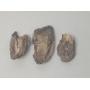 TUCSON Premium Collectibles Auction Saturday 7:30 PM 6/14/25 ID: 9951 (TUC)  (47 lots)