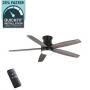 TUCSON UPSCALE CEILING FANS AND LIGHTING AUCTION Tuesday 8:00pm 8/26/25 ID:10295(HZLA) (59 lots)