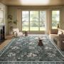 TUCSON BRAND NEW AREA RUGS AUCTION Sunday 6:00pm 2/2/26