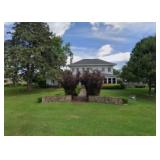 ESTATE SALE  - HISTORICAL HOUSE  - FULL of TREASURES 