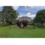 ESTATE SALE  - HISTORICAL HOUSE  - FULL of TREASURES 