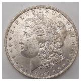 Morgan Silver Dollars