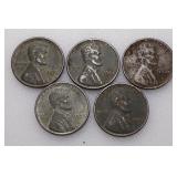 (5) 1943 Steel Wheat Cents (Not Searched)