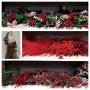 Holiday Dream  Bidding ends 12/11