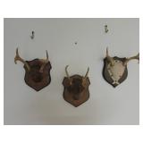 Antler Mounts