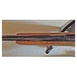 Vintage Daisy Beebee Gung