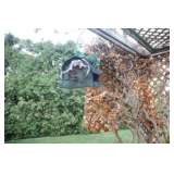 Bird House