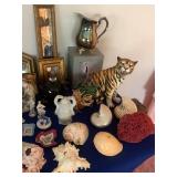 Collectibles, Shells, Coral