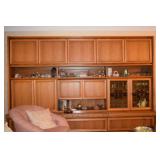 Wall usit with Display and pull down bar, not open