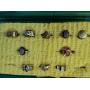 All IN "LIVE" AUCTIONS Bi-Weekly auction