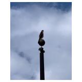 flagpole - Hawk does not convey