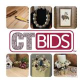 MultiClient Estate Sale Williamson Co ONLINE AUCTION