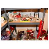 1444-18 Storage Closet