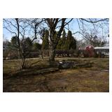 834-Back Yard 834-Back Yard