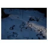 961-Front Yard