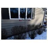 967-Back Yard