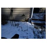 968-Back Yard