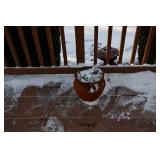 981-Back Yard