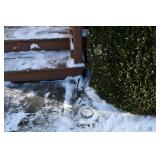 984-Back Yard
