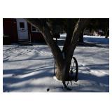989-Back Yard