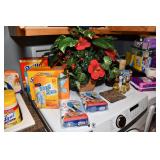 1173-Laundry Room