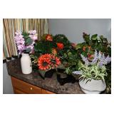 1184-Laundry Room