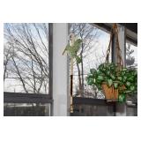 237-Sunroom 237-Sunroom