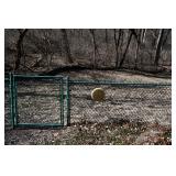 799-Back Yard 799-Back Yard