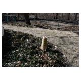 803-Back Yard 803-Back Yard
