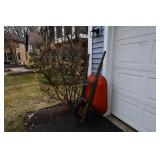 738-Front Yard