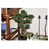 049-Living Room