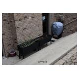 11 Back Yard (5)
