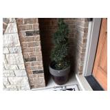 11 Front Yard  (9)